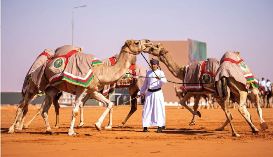 الهجّانة السُّلطانية ضمن قائمة التراث الثقافي غير المادي بالإيسيسكو