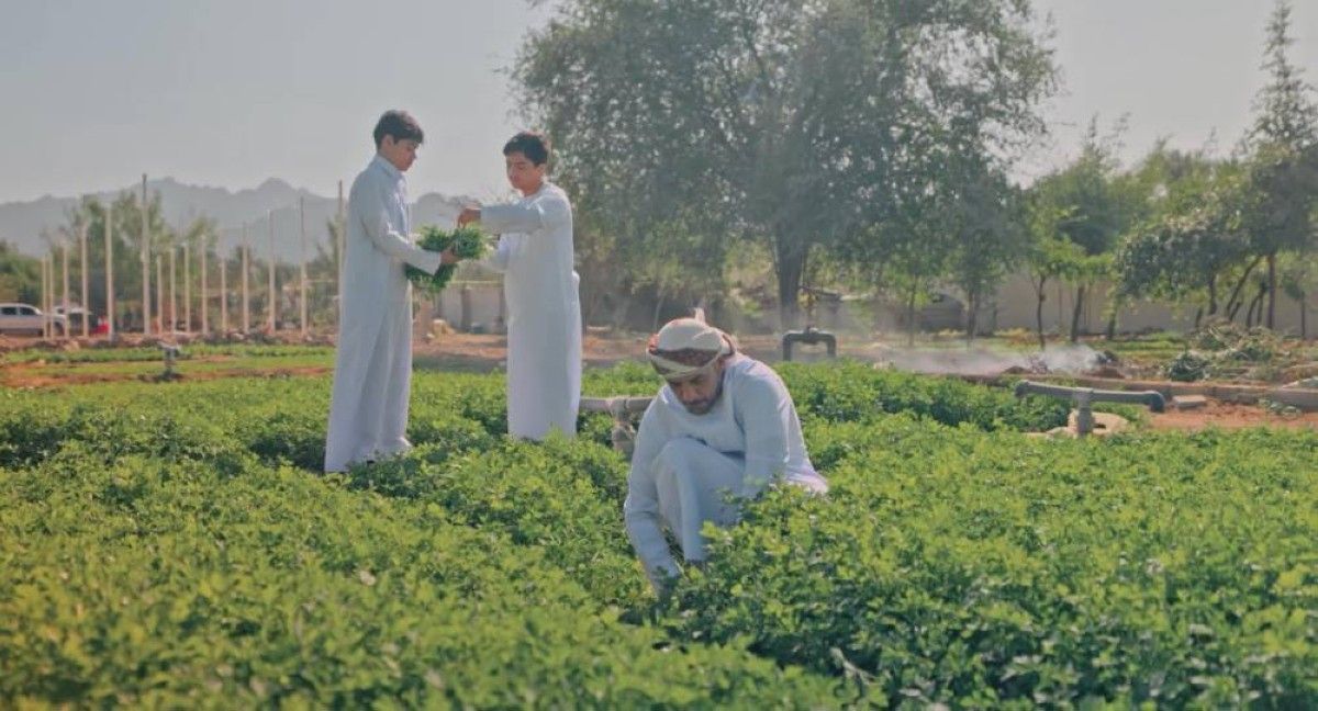 بلدية دبي تُطلق النسخة الثانية من مهرجان حتّا الزراعي