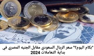 تغيرات صادمة .. سعر الريال السعودي مقابل الجنيه المصري في تعاملات اليوم 2024