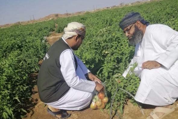 المديرية العامة للثروة الزراعية تؤكد مأمونية المحاصيل للاستهلاك الآدمي