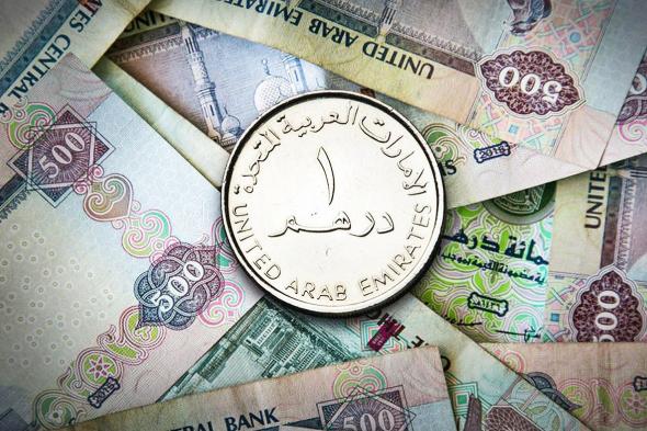 الدرهم يستحوذ على 73 % من المدفوعات الرقمية العربية