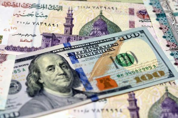 سعر الدولار اليوم مقابل الجنيه المصري.. انخفاض رسمي يقابله ارتفاع في السوق السوداء