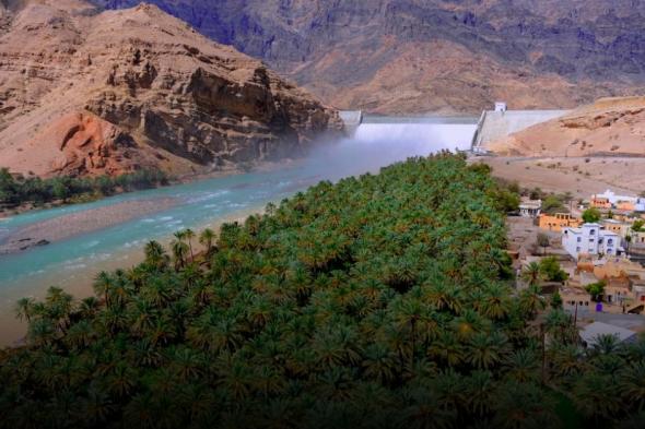 الاثنين .. سلطنة عُمان تحتفل بيوم الأغذية العالمي