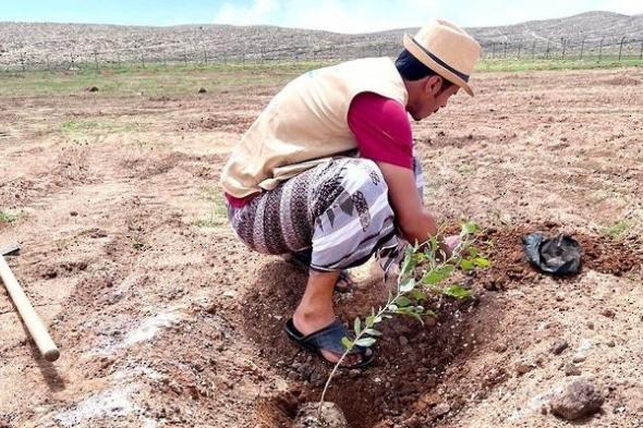 انطلاق حملة استزراع الأشجار البرية بـ ظفار