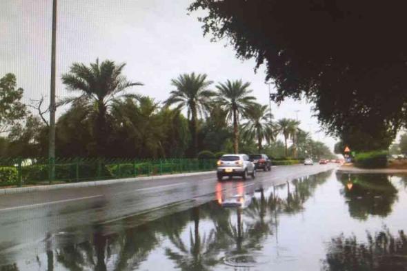 العمل في الجهات والشركات الحكومية والدراسة عن بُعد غداً في أبوظبي والعين والظفرة