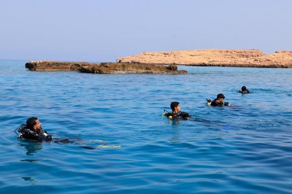 غواصون عمانيون يحرسون “الكنز البيئي الضخم” لجزر الديمانيات