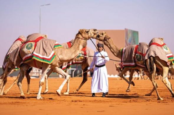 الهجّانة السُّلطانية ضمن قائمة التراث الثقافي غير المادي بالإيسيسكو