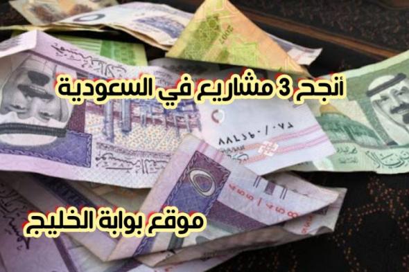 للمغتربين … أنجح 3 مشاريع في السعودية 2024.. برأس مالٍ صغير وأرباحاً كبيرة