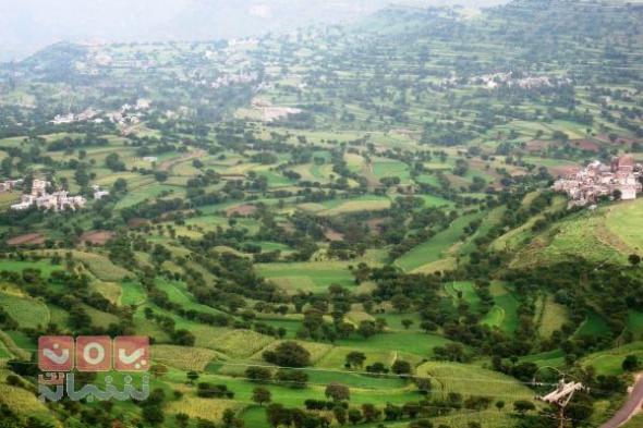 إب.. قيادي حوثي يسطو على أرضية مُصلى لبناء منزل لأحد أقاربه