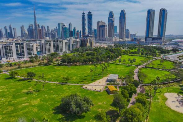 16.3 مليون زائر لحدائق ومرافق بلدية دبي خلال النصف الأول من 2024