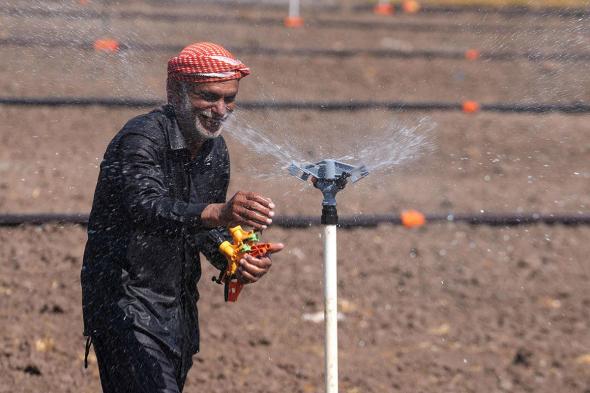 عراقيون يبتكرون طرقاً حديثة لإنقاذ زراعة الأرز