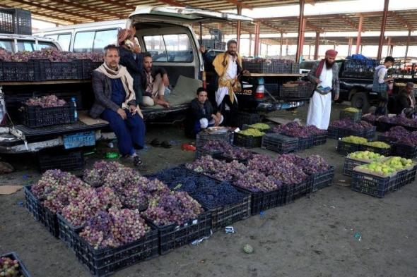 11700 على السلة الواحدة.. مليشيا الحوثي تفرض جبايات باهظة على منتجات "العنب"