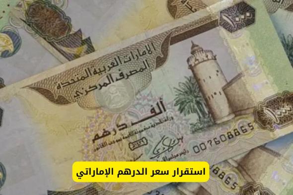 سعر الدرهم الإماراتي مقابل الجنيه المصري اليوم