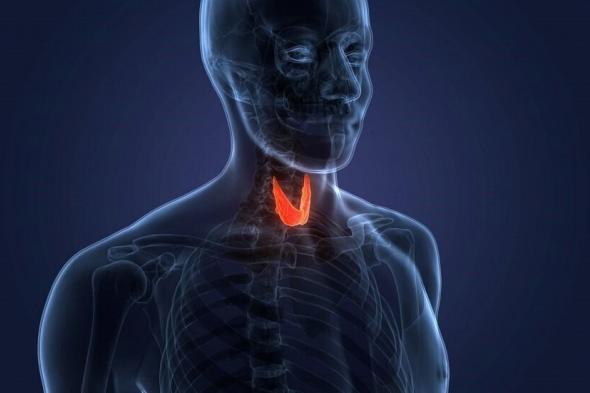 اكتشاف تأثيرات جديدة لهرمون الغدة الدرقية T3 على الجسم والجهاز العصبي