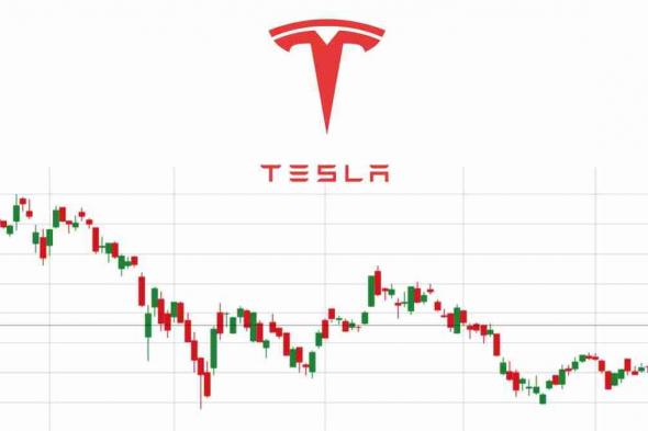 أسهم تسلا تخسر 35 مليار دولار في يومين بسبب كندا