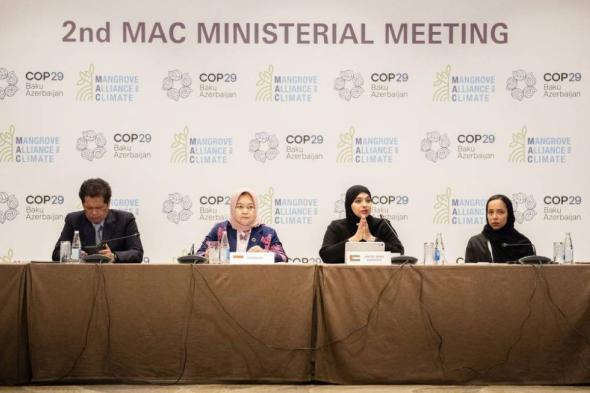 COP29 .. الإمارات تكشف عن استراتيجية 2031 لتحالف القرم من أجل المناخ